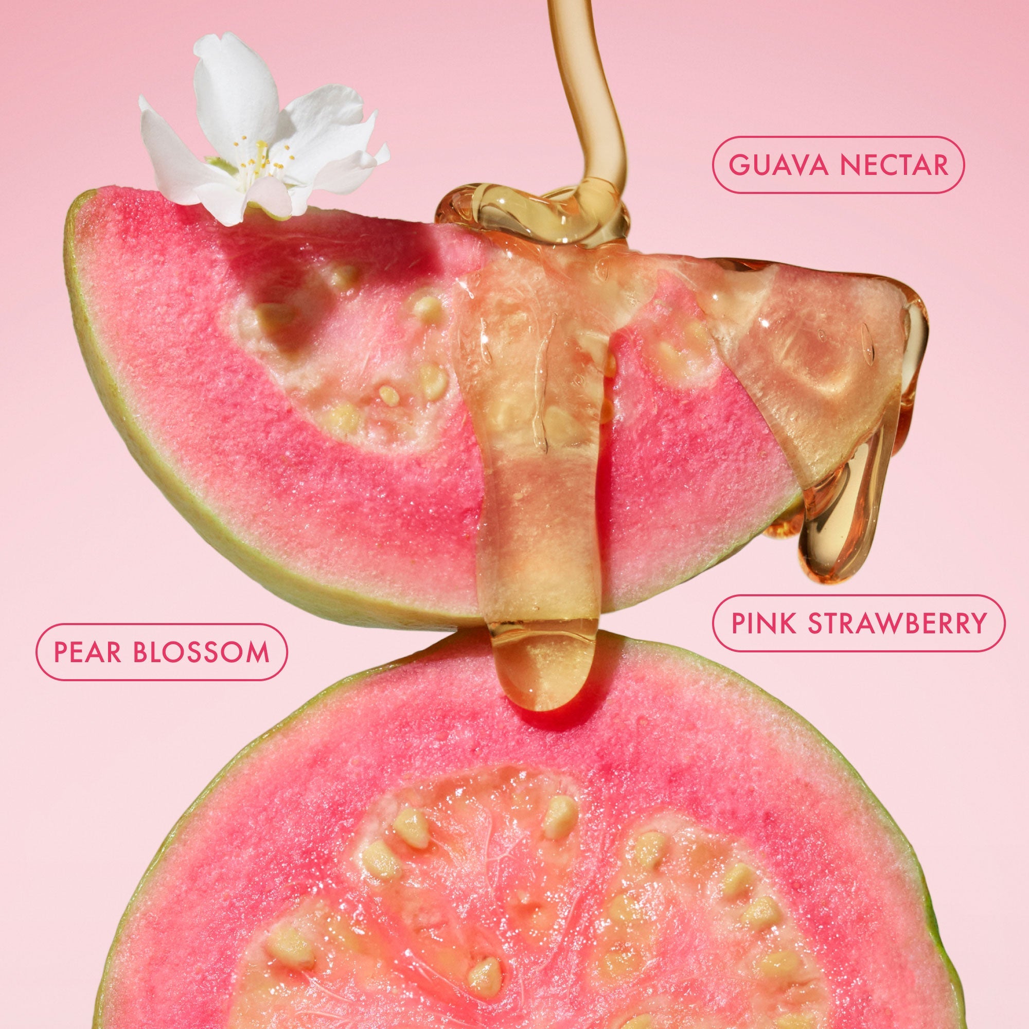 Body Essentials Duo in Pink Guava | TikTok Exclusive - product image 3